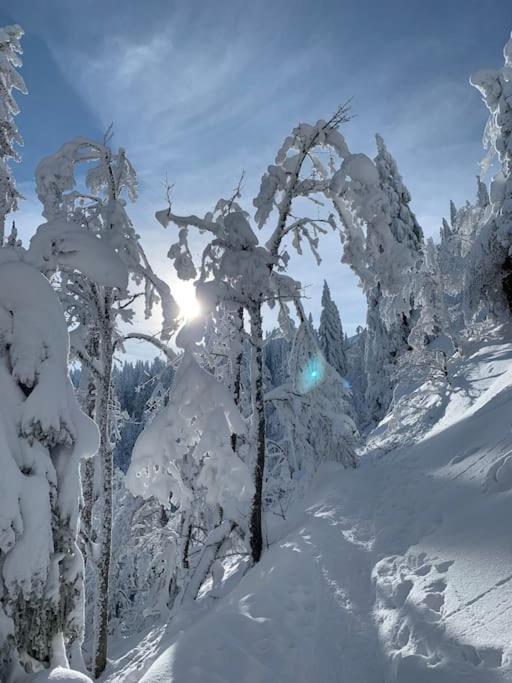 Stube9 Am Feldberg, Direkt An Der Skipiste, Ski In-Ski Out Фельдберг Екстер'єр фото