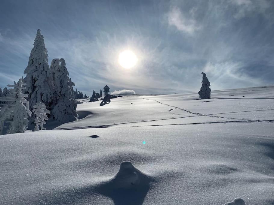 Stube9 Am Feldberg, Direkt An Der Skipiste, Ski In-Ski Out Фельдберг Екстер'єр фото